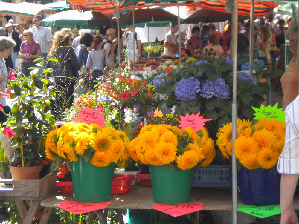 Blumen am Markt Mainz